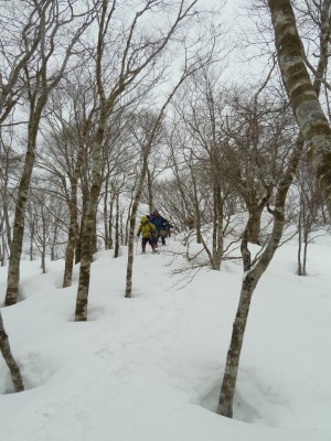 去年のスノー衆
