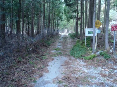 倒木片付け後の林道。