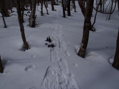 ＴＷさんの足跡。