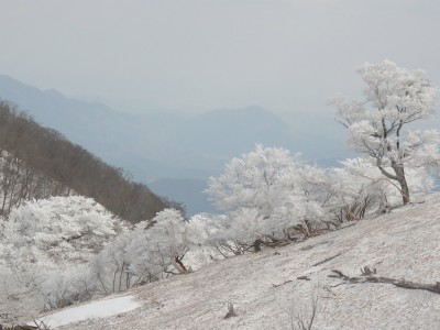 IMG_6788.jpg (220.77 KiB) 閲覧された回数 5388 回 ヒキウス平