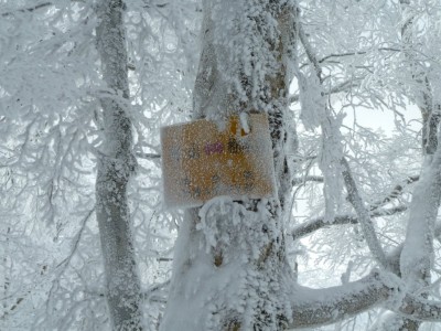 昔懐かし、天理大ワンゲルの道標
