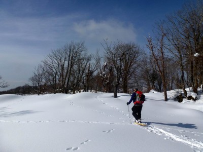 快適なルート－大ダワ～土蔵岳