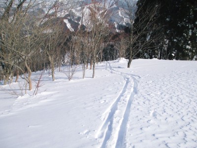 シール跡.JPG (175.07 KiB) 閲覧された回数 47150 回 ●白鳥高原、色んな斜度で試してみました。