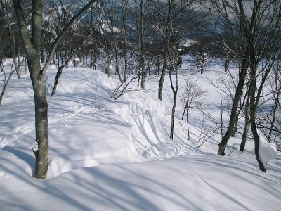 ●深い雪だよスキーの方が効率がいいね。