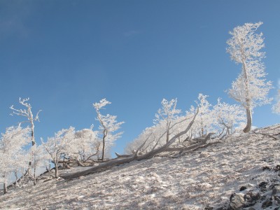 IMG_6719.jpg (297.95 KiB) 閲覧された回数 5302 回 青空と霧氷