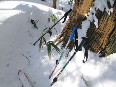 ●モコモコ歩いてたらこんなの有ったよ、ナンダロウな？