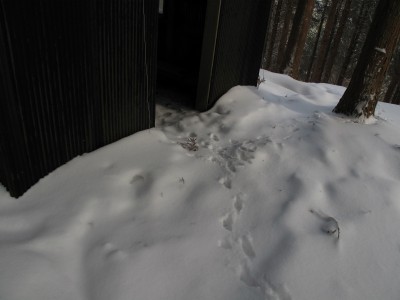 鹿くんの小屋見学