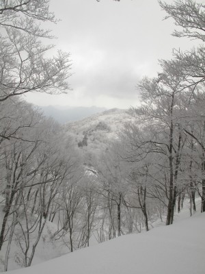 IMG_6736.jpg (271.21 KiB) 閲覧された回数 5252 回 桧塚劇場