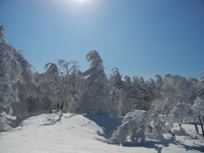20013年 南沢岳 横川岳 015.JPG (4.68 MiB) 閲覧された回数 9712 回 南沢山~横川の稜線
