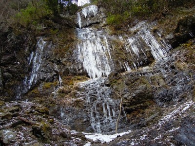 摂津林道(歩道)の嵓回り込みの氷柱