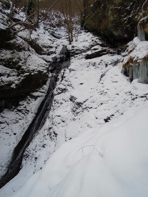 サスケ滝前に落ちる枝谷