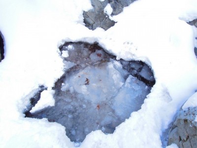 お谷にはまって、さぁたいへん！