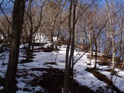 キックステップ予定の尾根に雪が無い。