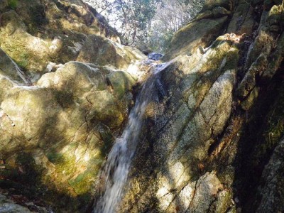 杠葉谷の５ｍ滝