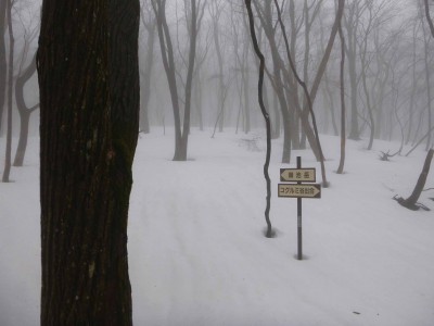 P1010855_1.jpg (145.79 KiB) 閲覧された回数 4463 回 カタクリ峠