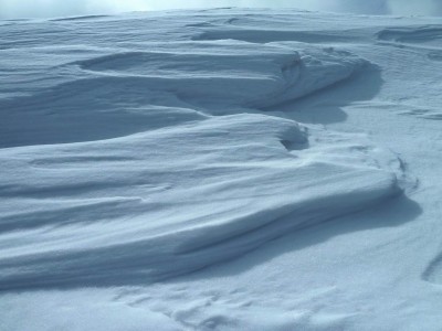 P1010805.JPG (168.52 KiB) 閲覧された回数 51125 回 御池岳でみたシュカブラのようなもの?