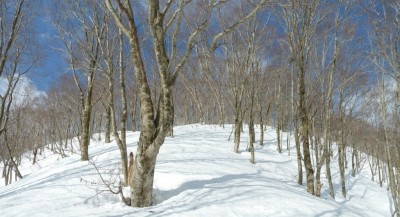 パノラマ 6_1.JPG