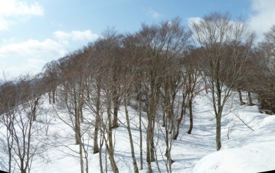 パノラマ 3_1_1.JPG