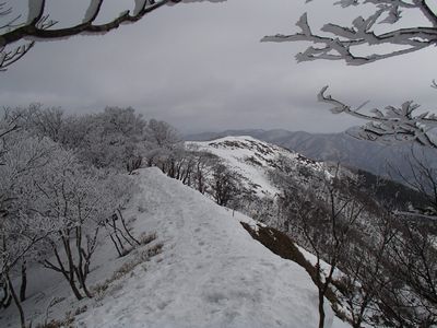 本峰から北峰へ向かう稜線のささやかな霧氷