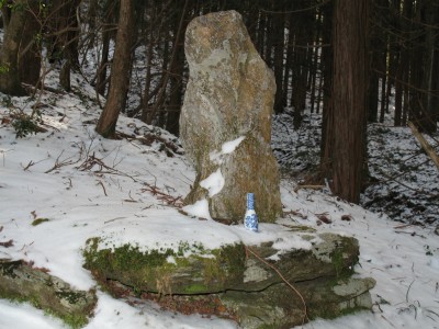 今日行ってきた布引滝の山の神