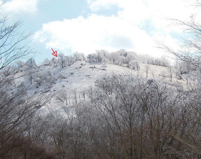 ヒキウス平に人影(11時20分頃)