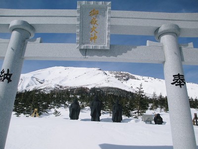 ●一日中好い姿が見えてました