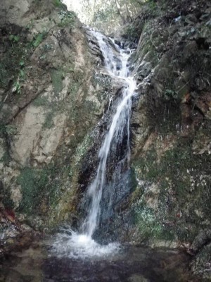 杠葉谷の５ｍ滝