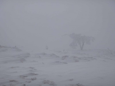 P1010942_1.jpg (89.01 KiB) 閲覧された回数 9024 回 ホワイトアウトの奥の平