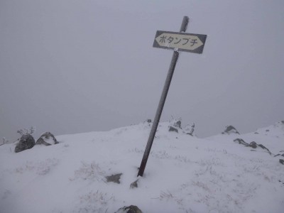 P1010948_1.jpg (109.65 KiB) 閲覧された回数 9026 回 ボタンブチ