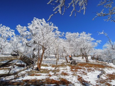 10日奥峰にて。