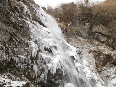 IMG_6842.jpg (400.79 KiB) 閲覧された回数 4718 回 布引滝三段目