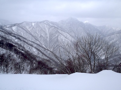 あそこまで届くのか?