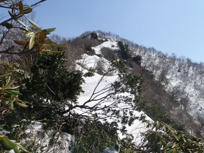 もうすぐ山頂。ヤブっぽいヤセ尾根です