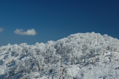 muhyou1 DSC_8357.JPG (421.36 KiB) 閲覧された回数 3419 回 ワサビ谷源頭から奥桧塚を望む