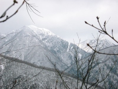 ●蕎麦粒山、もう１０年も前のことだ