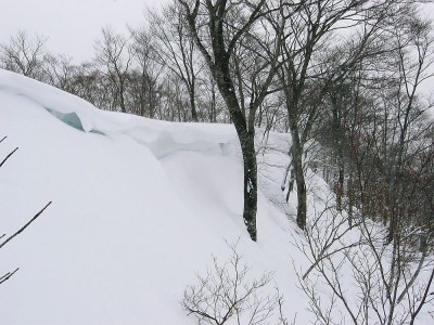 ●湧谷山セッピ手前、乗り越せないサンデー