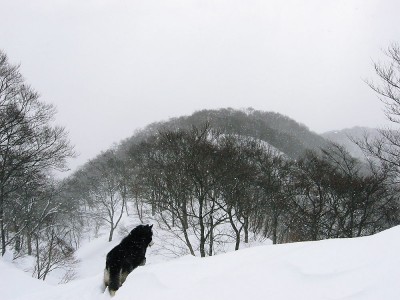 ●サンデーとの雪山は頼りになったよなあ