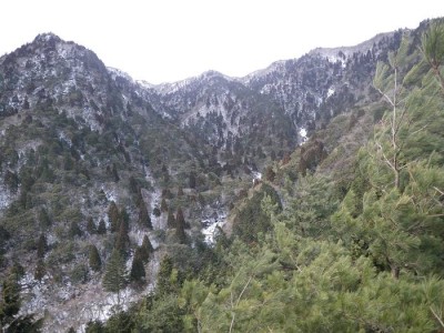 割谷の頭から県境稜線をのぞむ