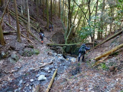 谷を渡ると林道に出ます