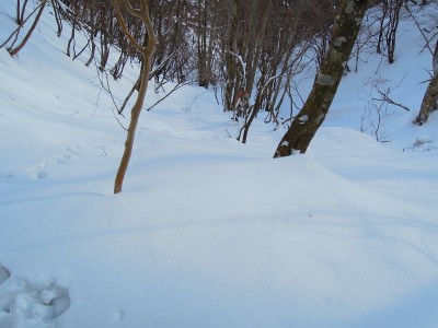 源流左俣堰状滝の下は雪で埋まっていた。