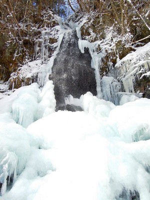 ヌタハラ源流右俣の滝。