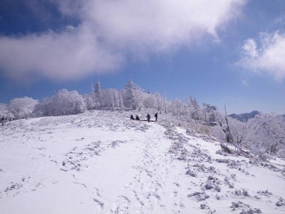 IMGP5151.JPG (57.88 KiB) 閲覧された回数 5066 回 山頂へ