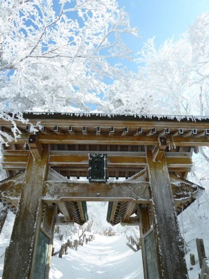 P1110445_1.JPG (152.82 KiB) 閲覧された回数 5074 回 伽藍を後にする(山日和さん提供)