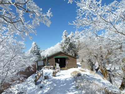 今年の洞辻茶屋