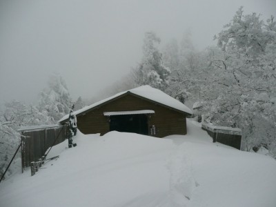 2008年の洞辻茶屋