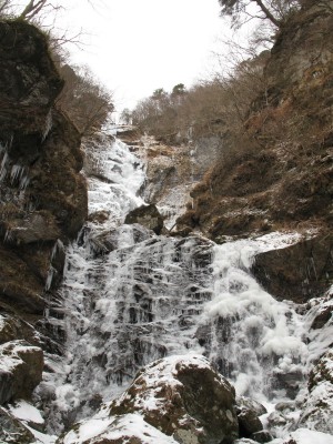 IMG_6825.jpg (365.82 KiB) 閲覧された回数 4623 回 四段目より