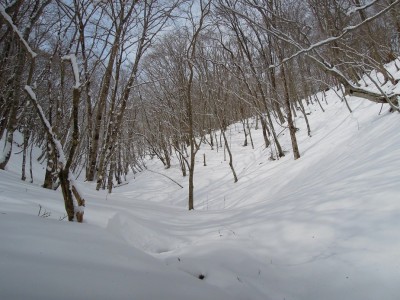 ランチ場の光景。