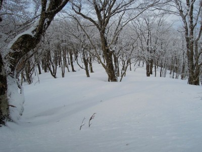 積雪うねる笹ヶ峰。