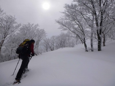 山日和隊長、処女雪を歩く
