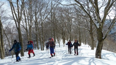 ブナ林を行くGメン75